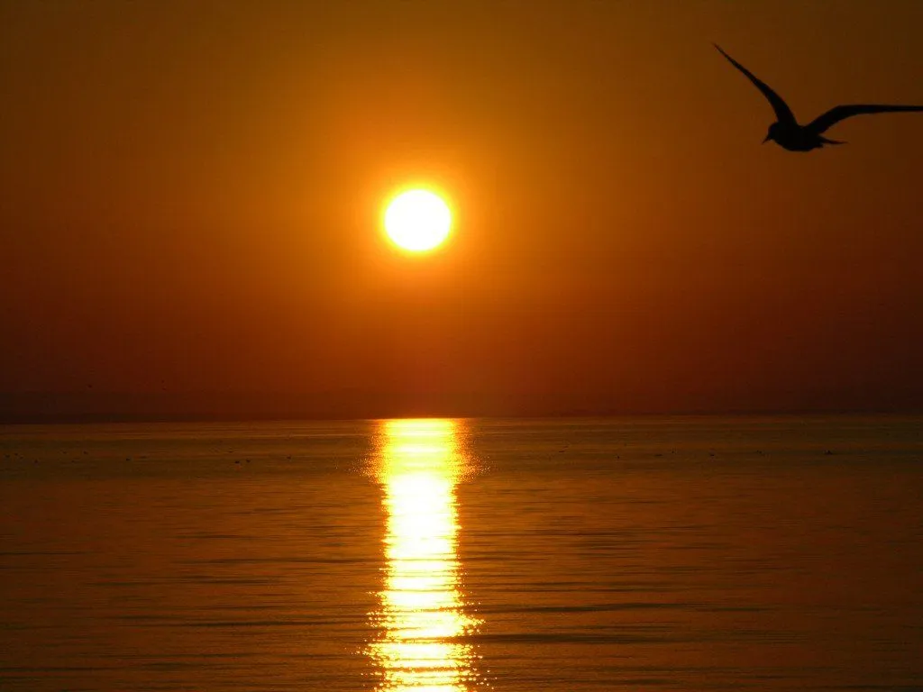 Why Does The Sun Reflect Off Seas And Oceans?
