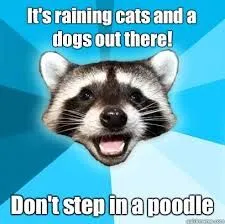 Raining Dogs meme