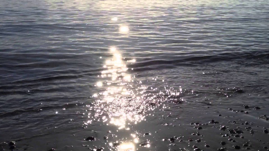 Image Credit: Wikimedia Commons