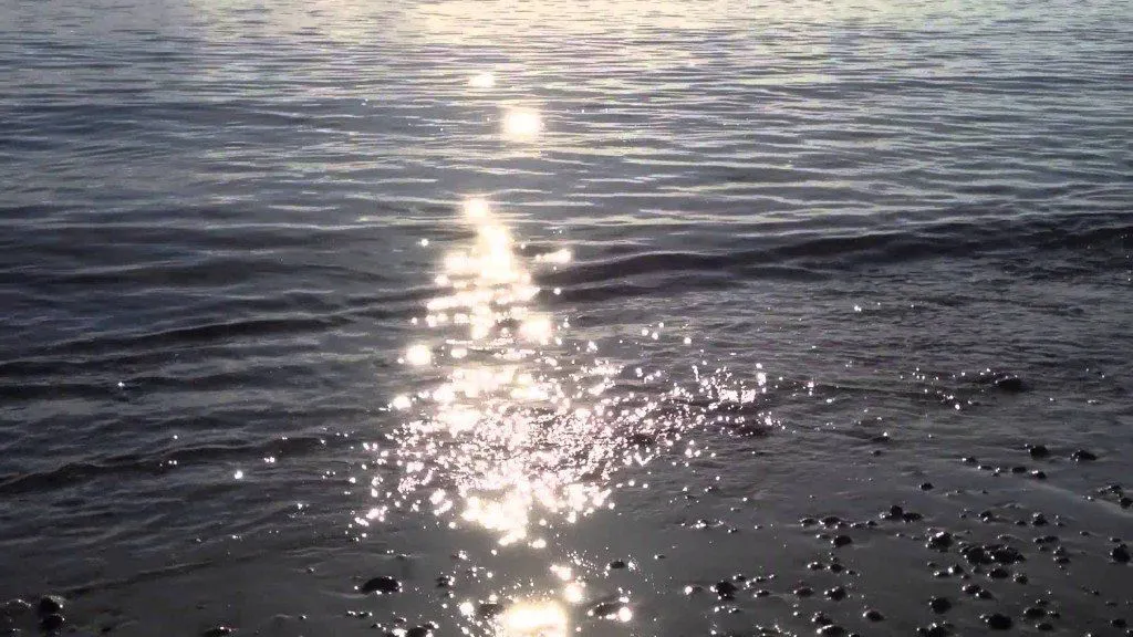 Image Credit: Wikimedia Commons