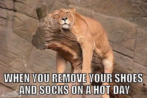 when-you-remove-your-shoes-and-socks-on-a-hot-day-meme
