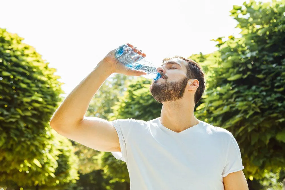 How Are Water And Other Fluids Digested In The Human Body?