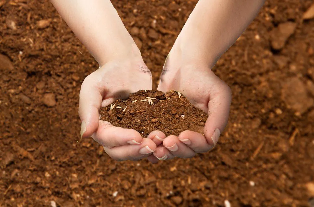 Why Does Soil Always Look Brown?