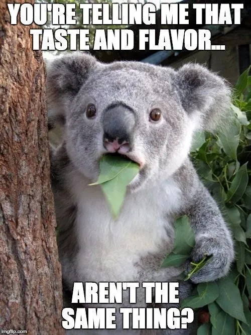 How Do We Taste Things?