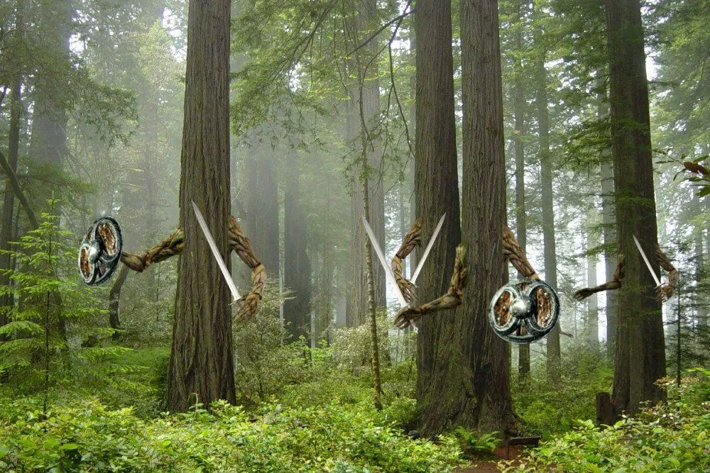 How Do Plants Defend Themselves?