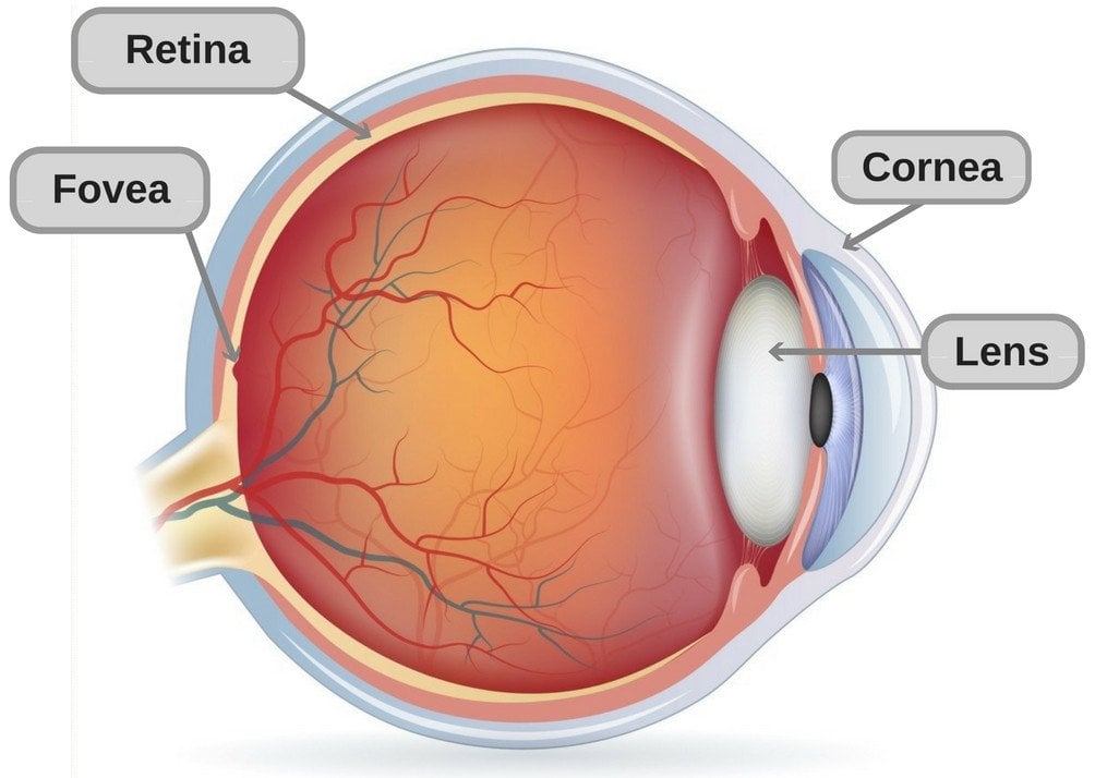 Eye Diagram