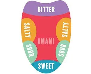 Umami