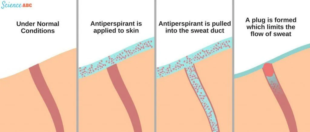 How Do Deodorants And Antiperspirants Work?