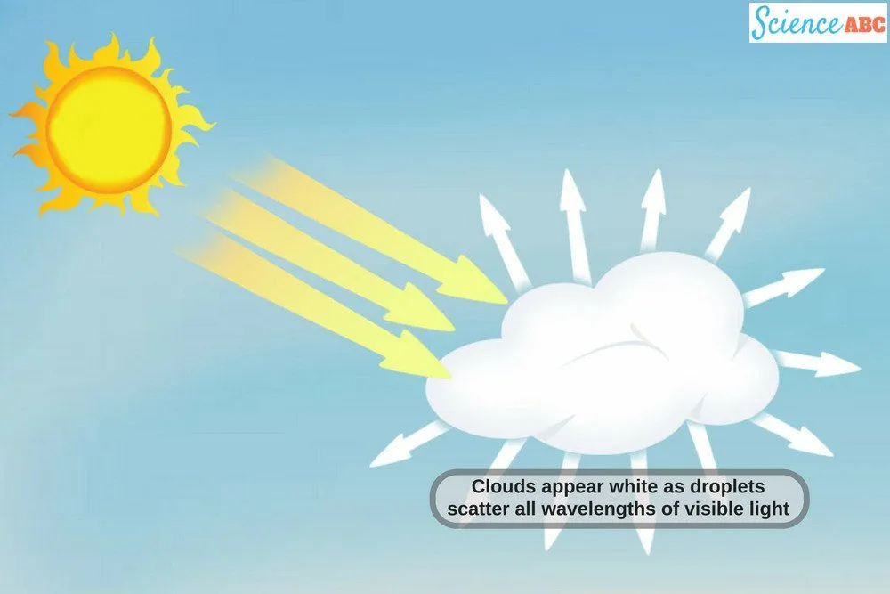 Why Is Soap Lather Always White?