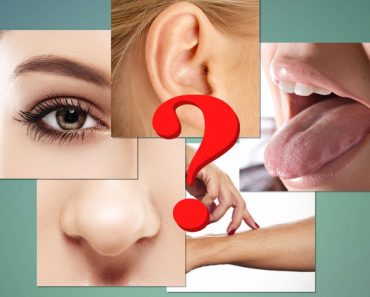 Do Humans Only Have Five Senses?