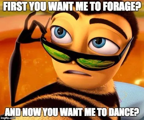 How Do Bees Find Their Way Back To The Hive?