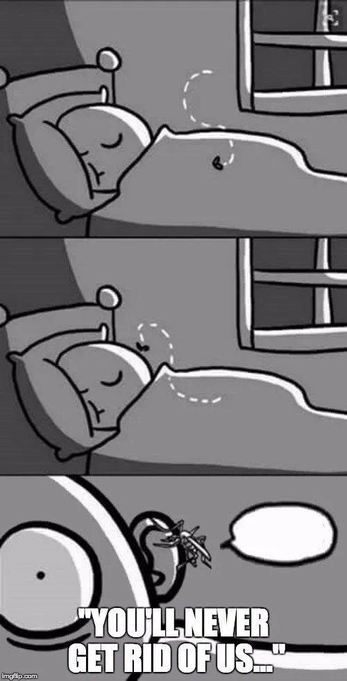 Do Animals Get Mosquito Bites?