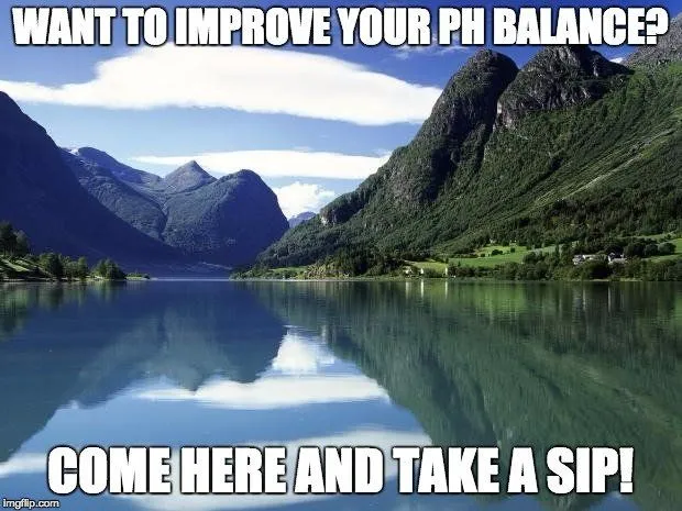 What Is The Ideal pH Of The Body?