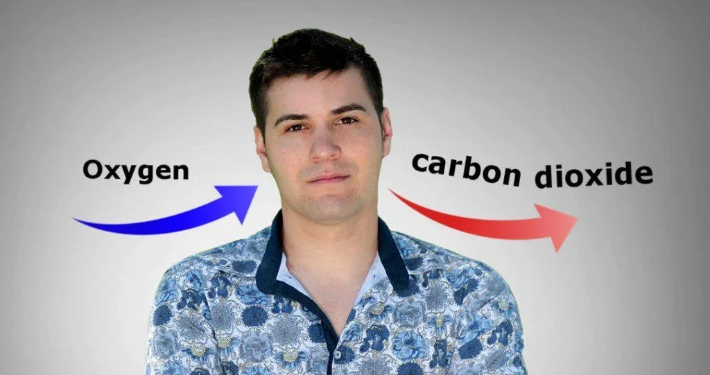 How Do We Produce CO2? Why Do We Exhale Carbon Dioxide?
