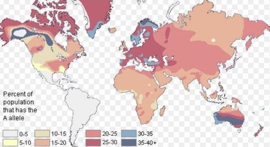 Distribution of Type A allele around the World