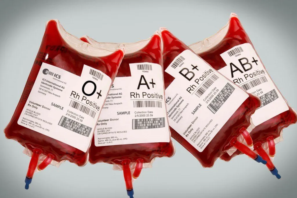 Why Do Humans Have Different Blood Types?