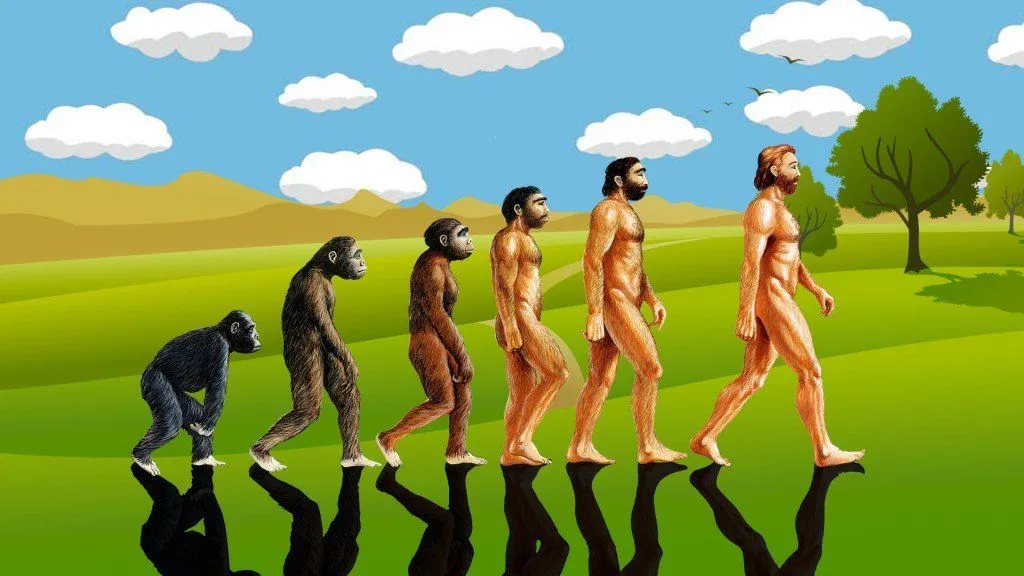 What Are The Most Common Misconceptions About Evolution?
