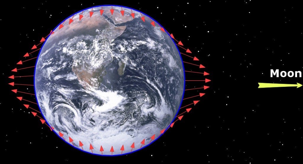 Gravity differential earth moon tidel force bulge locking