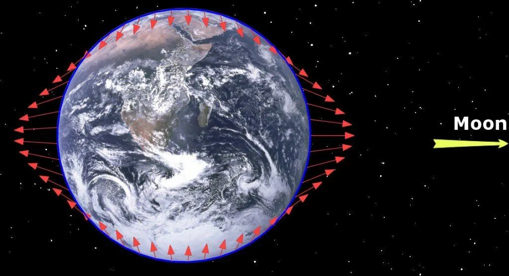 Gravity differential earth moon tidel force bulge locking