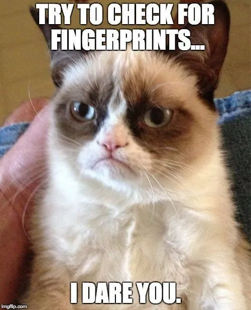 Do Animals Have Fingerprints?