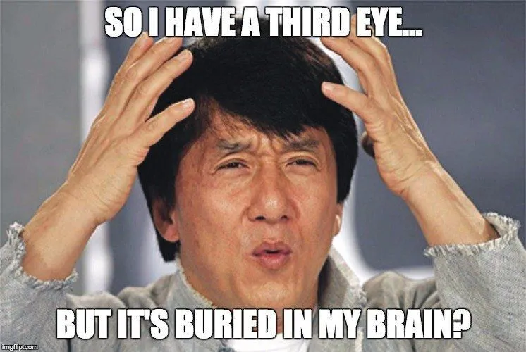 Can Animals Have A Third Eye?