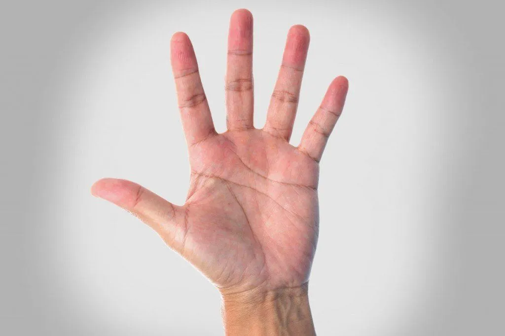 Why Do We Have Lines On Our Palms?