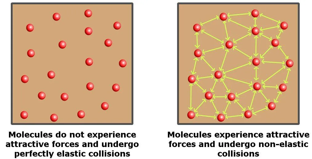 Photo Credit : ScienceABC