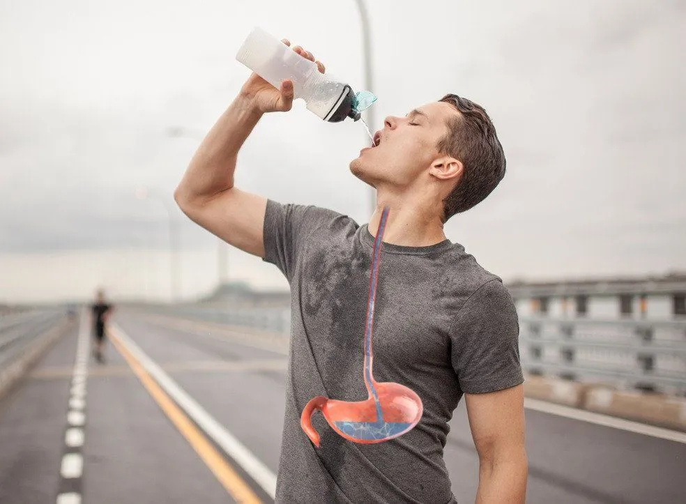 What Is Gastric Acid (Stomach Acid)? Is It Diluted When We Drink Water?