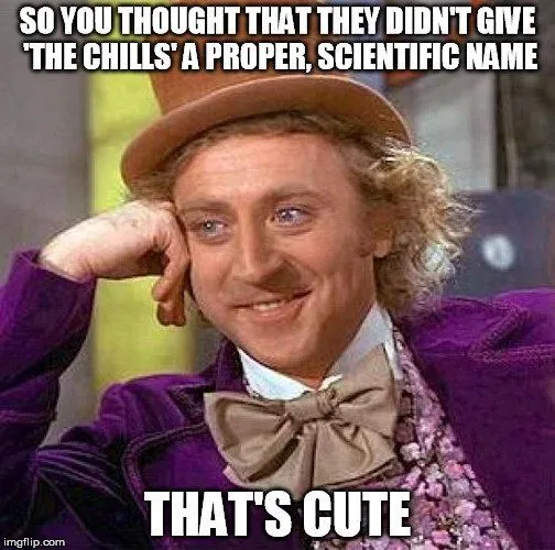 Why Do We Get Goosebumps When Listening To Beautiful Pieces Of Music?