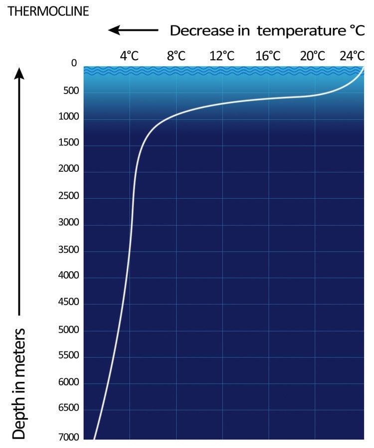Thermocline