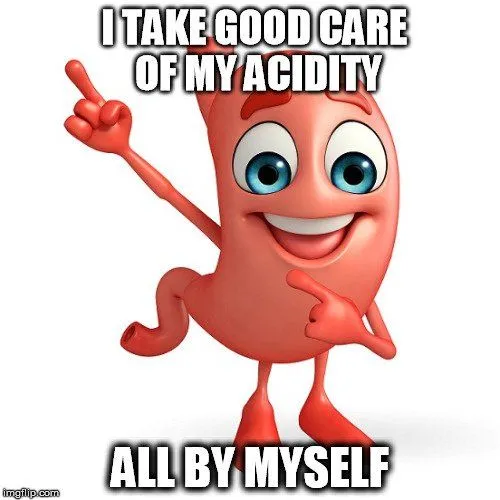 Is Your Stomach Acid (Gastric Acid) Diluted When You Drink Water?