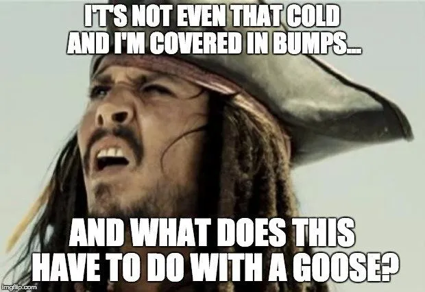 Why Do We Get Goosebumps When We’re Cold?