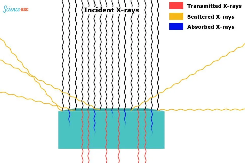 The measurement of intensity of the transmitted rays is used in baggage scanners, while the measurement of the intensity of scattered rays is used in full-body scanners like backscatter X-ray scanners and millimeter wave scanners
