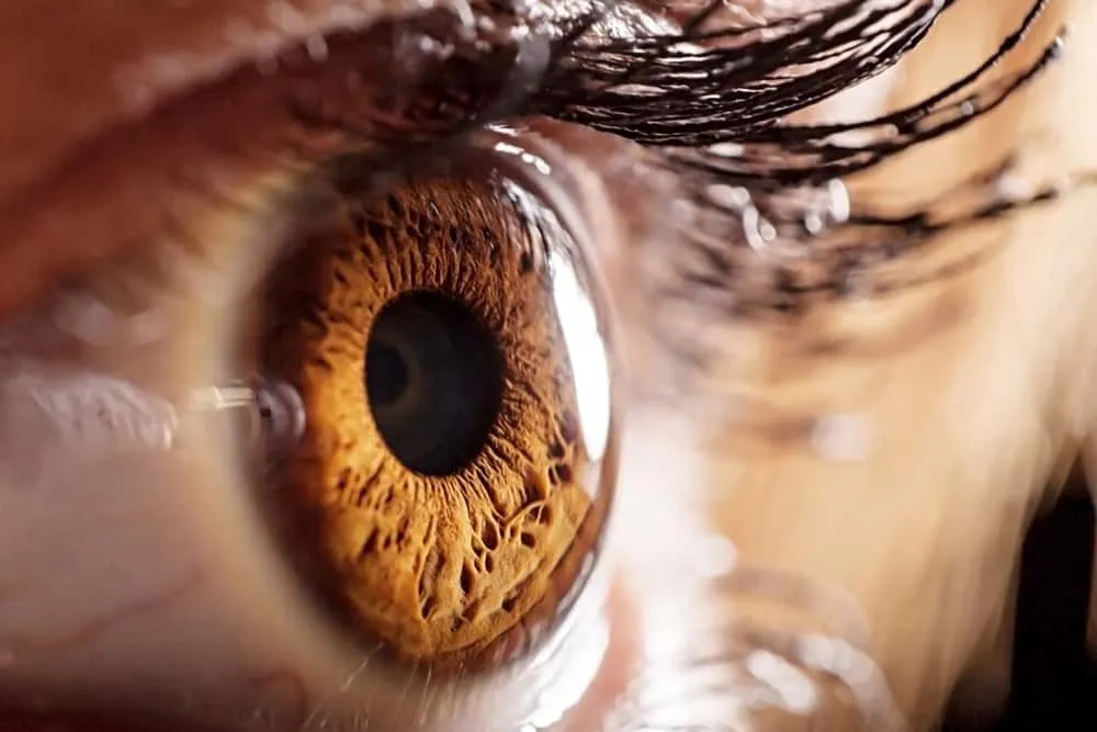 Can The Human Eye See A Single Photon?