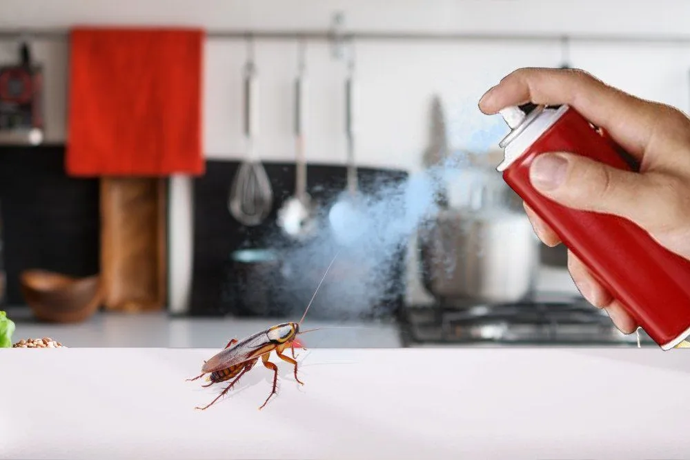How Do Bug Sprays (Like Raid And Baygon) Kill Cockroaches?