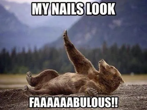 Why Do Humans Have Fingernails And Toenails?