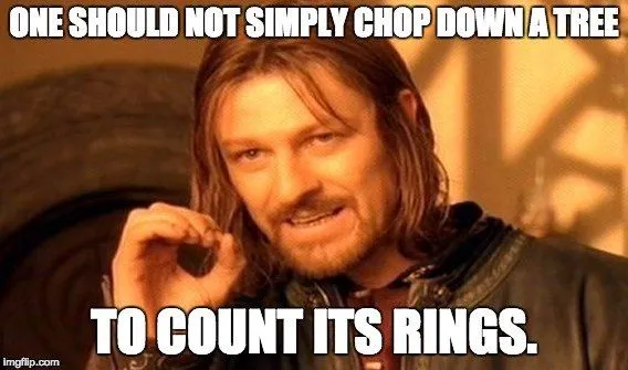 How To Calculate The Age Of A Tree?