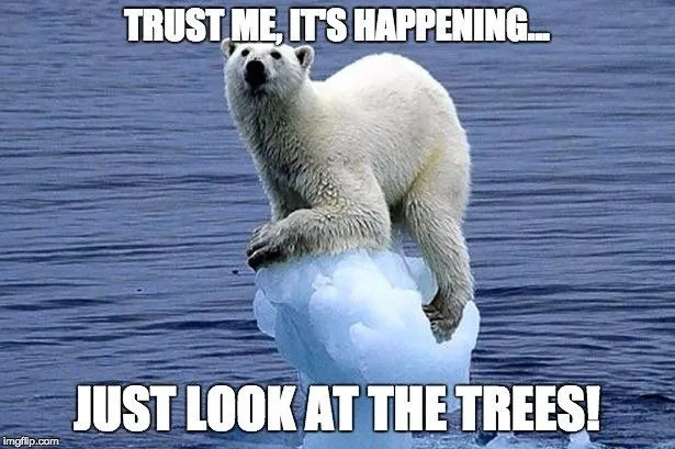 How To Calculate The Age Of A Tree?