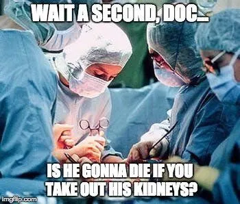 What Happens When One Or Both Kidneys Are Removed?