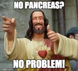 Can You Live Without A Pancreas?
