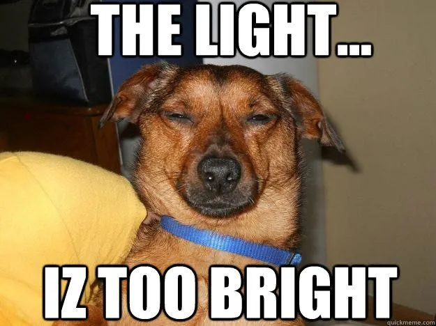 What Would You See If You Stepped Inside A Spherical Mirror?