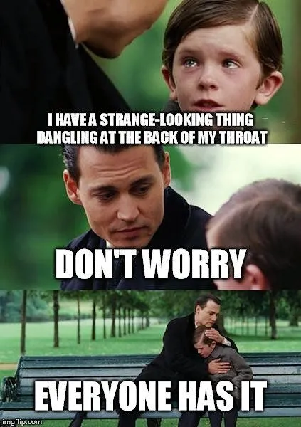 What Is The Uvula And What Does It Do?