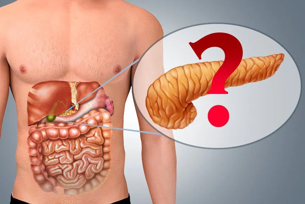 Can You Live Without A Pancreas?