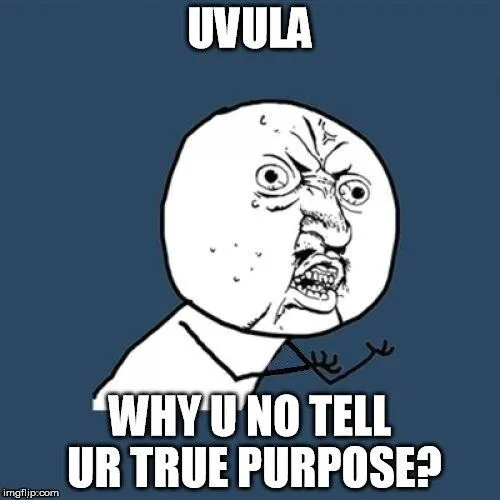 What Is The Uvula And What Does It Do?