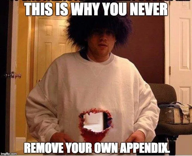 What Does The Appendix Do?