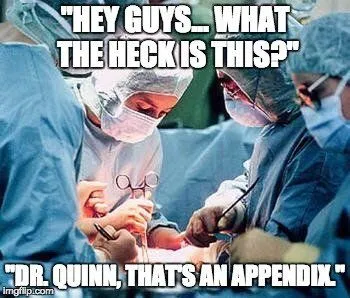 What Does The Appendix Do?