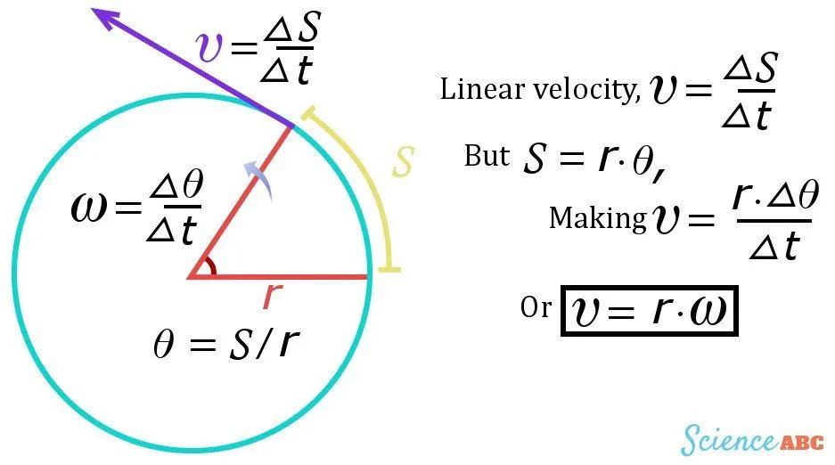 Derivation of linear or tangential velocity in uniform circular motion.