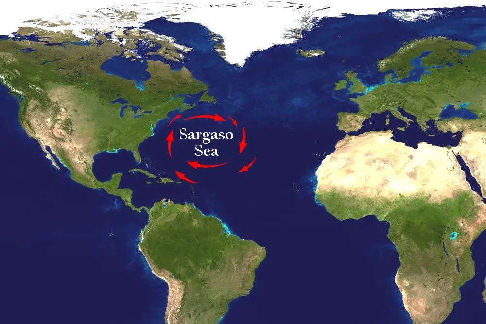 Sargaso sea in world map
