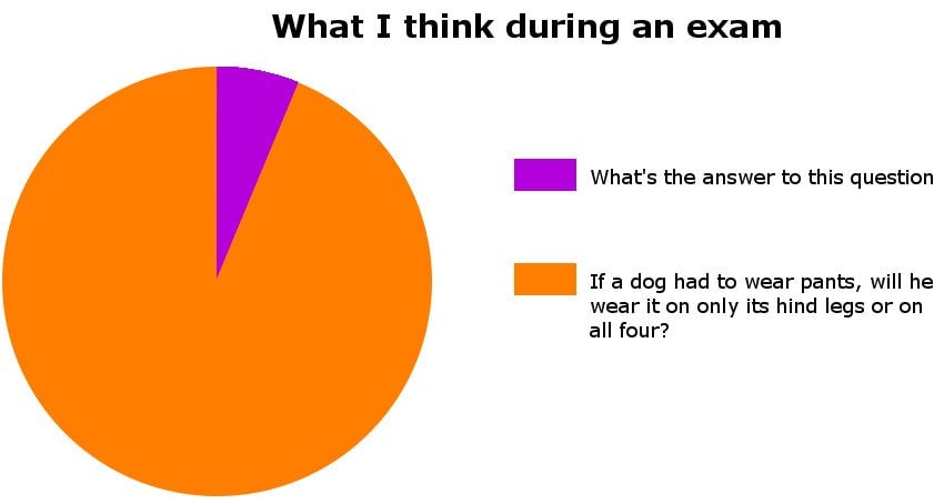 What i think during an exam pi chart