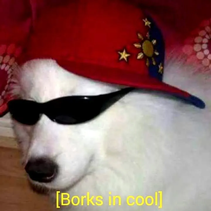 Why Do Hyenas Laugh?